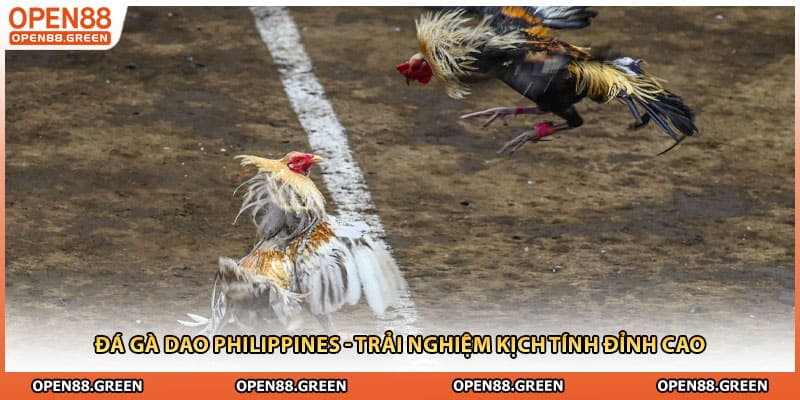Đá Gà Dao Philippines - Trải Nghiệm Kịch Tính Đỉnh Cao
